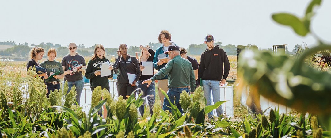 M.S. in Bioagricultural Sciences – Plan A, Plant Pathology Specialization