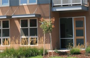 Urban multi-family building surrounded by mulched landscape.