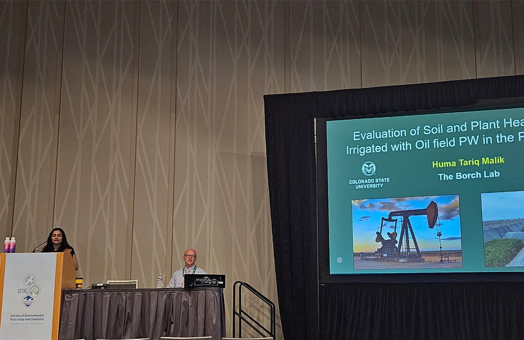 Borch lab member presents at the SETAC poster session