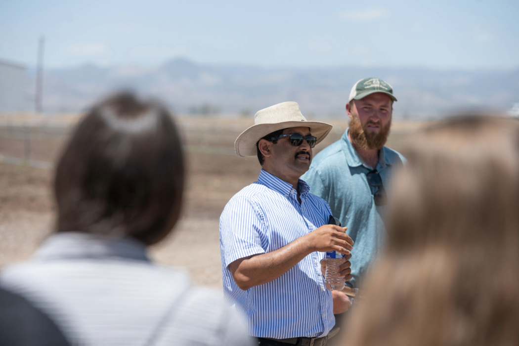 Person talking to students