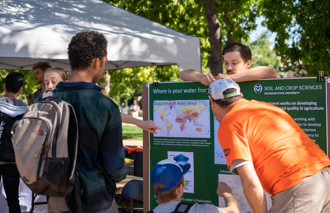 students looking at poster