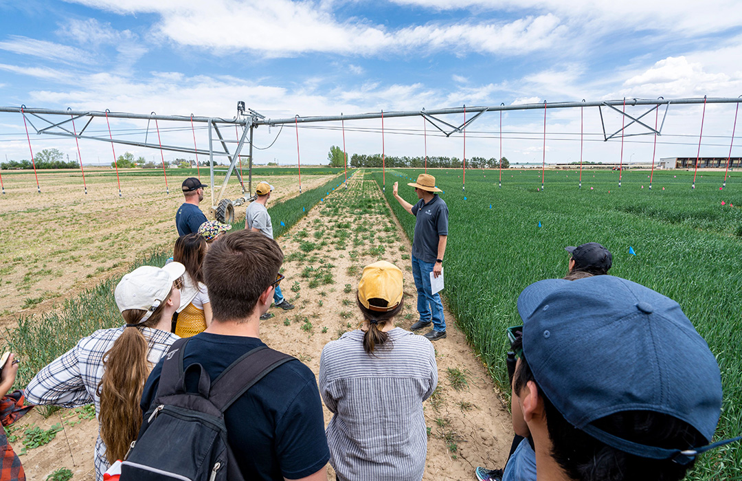 students in wheat field with instructor