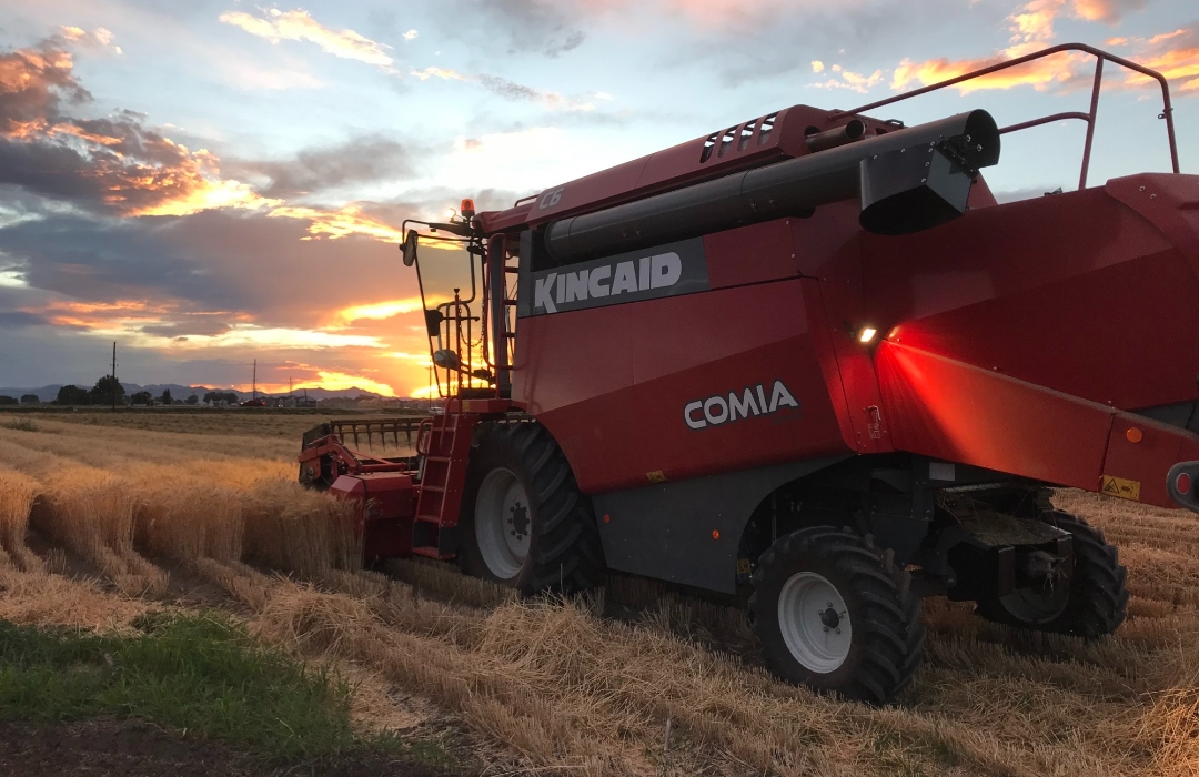 Tractor on wheat field during sunset