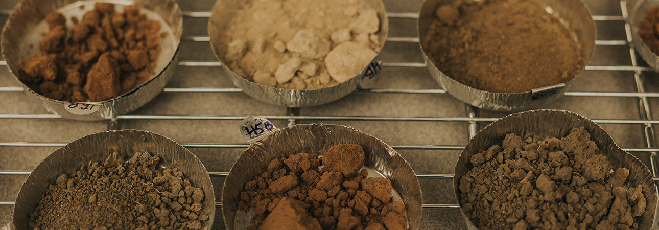 soil samples