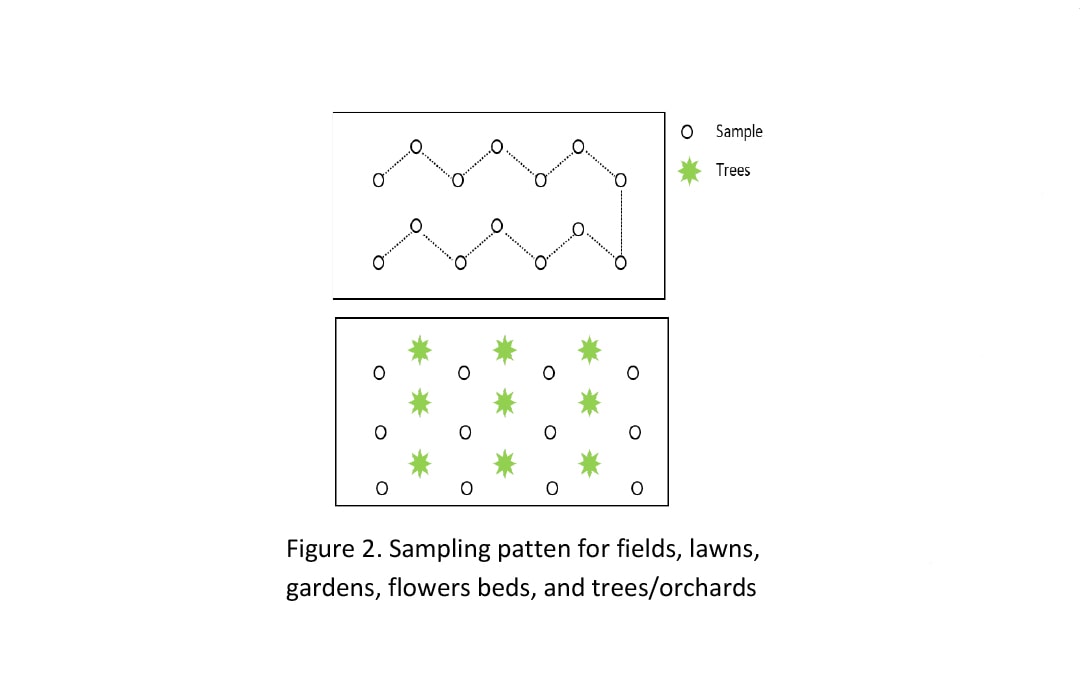 Figure 2. Sampling patten for fields, lawns,<br />
gardens, flowers beds, and trees/orchards 