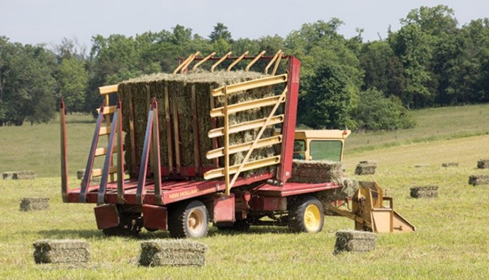 Small hay-bales for sample collection 