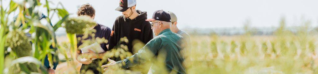 A researcher leads a class in a field of wheat