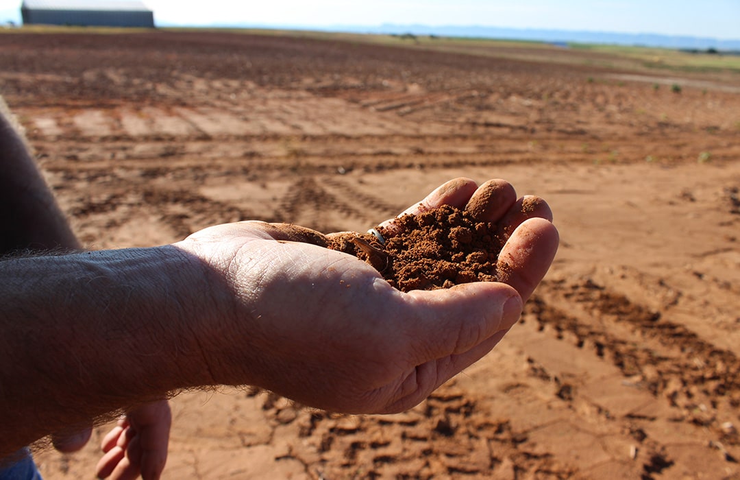 Soil in Hand