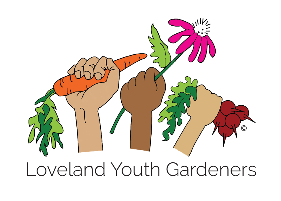 Loveland Youth Gardeners