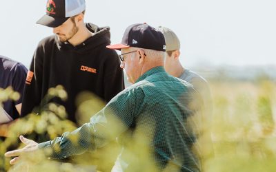 Soil and Crop Sciences