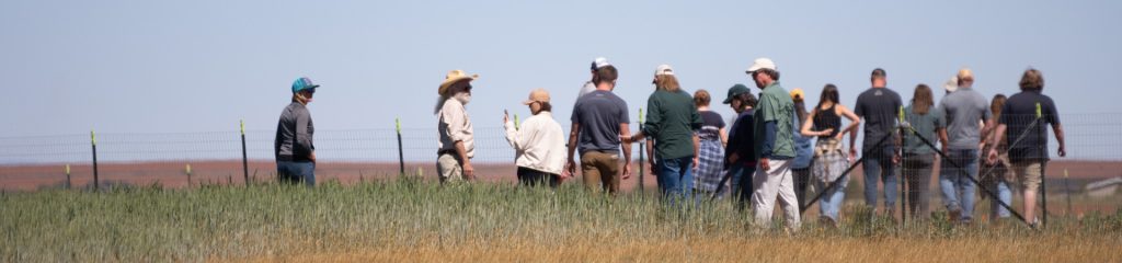 people in field course