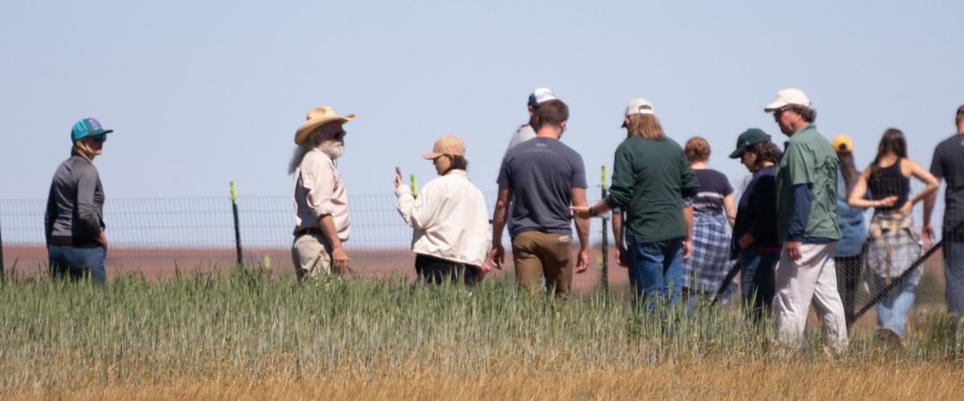 people in field course