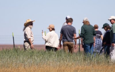 Ph.D. in Bioagricultural Sciences