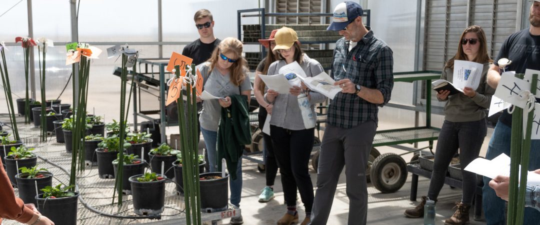 students in greenhouse