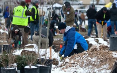 Landscape Design and Contracting – Concentration