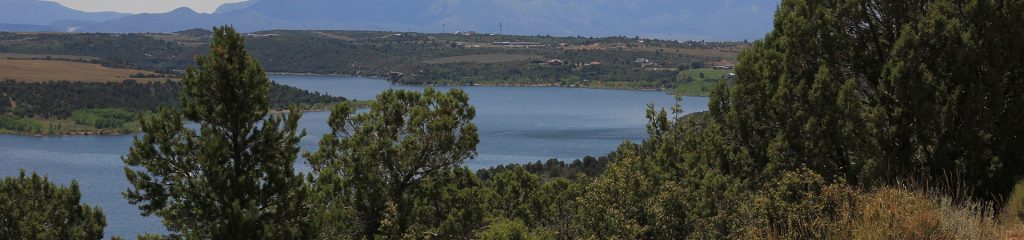 Water, trees and mountains.
