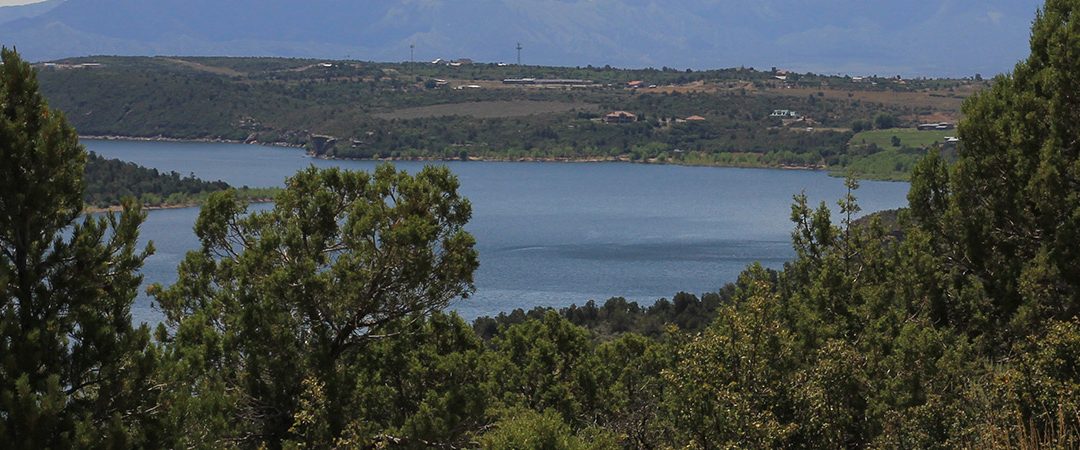 Water, trees and mountains.