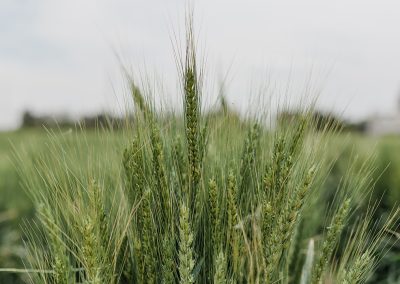 May 4, 2026