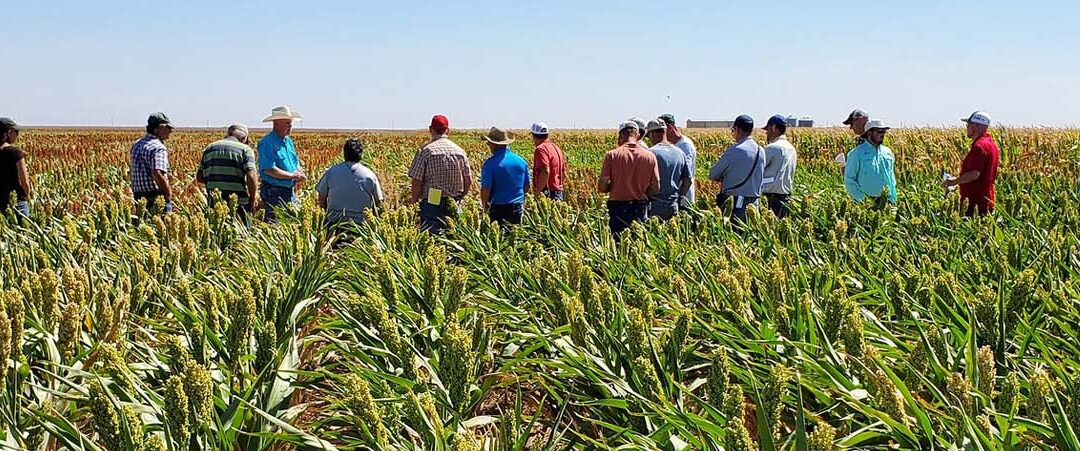 Group of people in a field