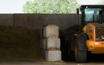 Agricultural Business Major