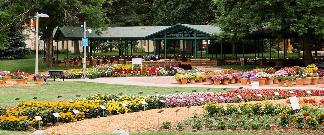 Trial gardens flowers