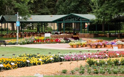 Horticulture Major – Controlled Environment Horticulture Concentration