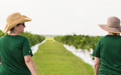 Environmental Horticulture – Minor