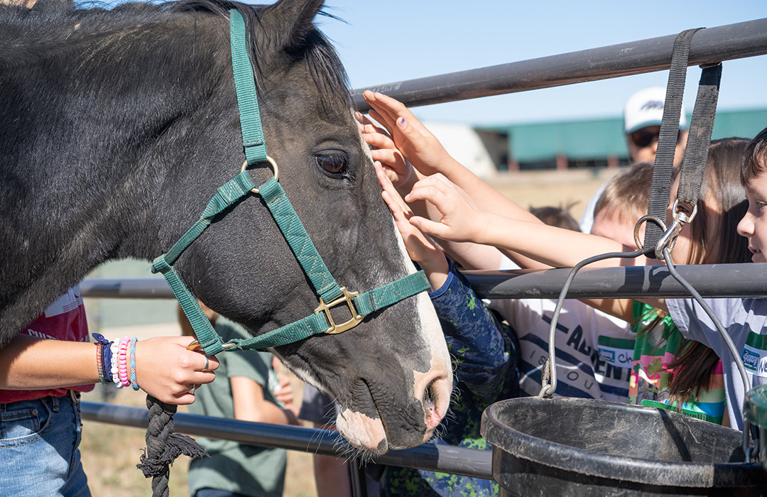 Kids petting a horse.