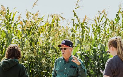 Soil Science – Minor