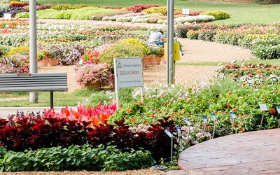 M.S. in Horticulture