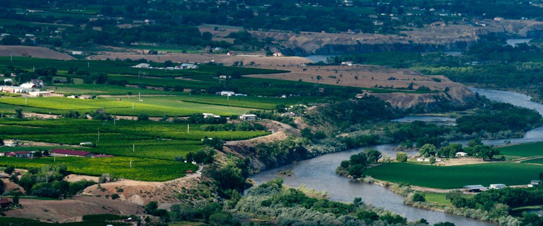 Colorado River in Palisade, co