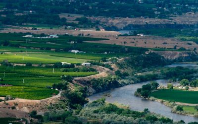 Ph.D. in Agricultural and Resource Economics
