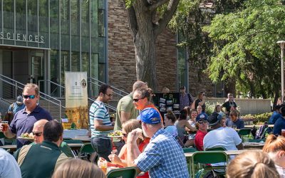 Teaching in Extension Certificate – Online