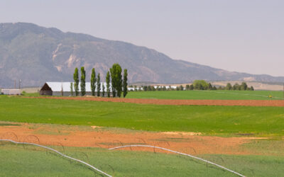 M.S. in Agricultural and Resource Economics