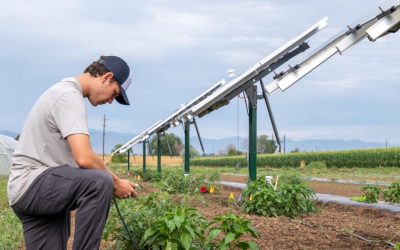 Agricultural Biology Sequential M.S. Degree Program