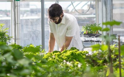 Soil and Crop Sciences Major – Plant Biotechnology