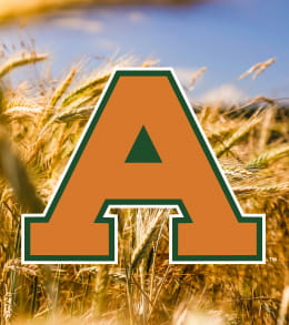 VBL Aggie A-260x293 (1) The orange Aggie A against a background of wheat