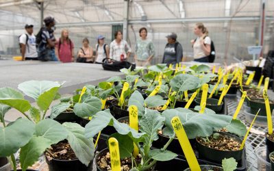 Plants in the Plant Growth Facility and a group of students on a tour