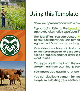 using-this-template-260x293 A screenshot of the College of Agricultural Sciences PowerPoint template, titled "Using this Template" with instructions on different template standards