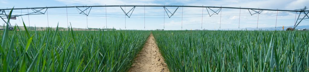 A pivot sprinkler over a field of grass