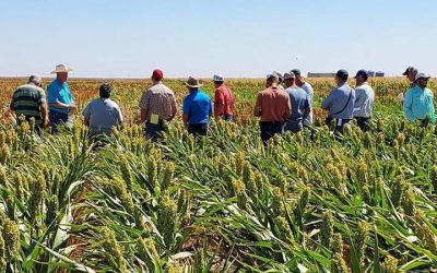 Master’s of Agriculture in Agricultural Education Teacher Development M.Ag. – On Campus