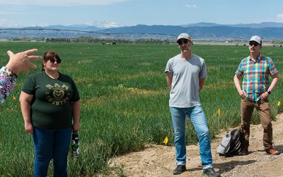 Soil and Crop Sciences Major – Soil Science and Environmental Solutions