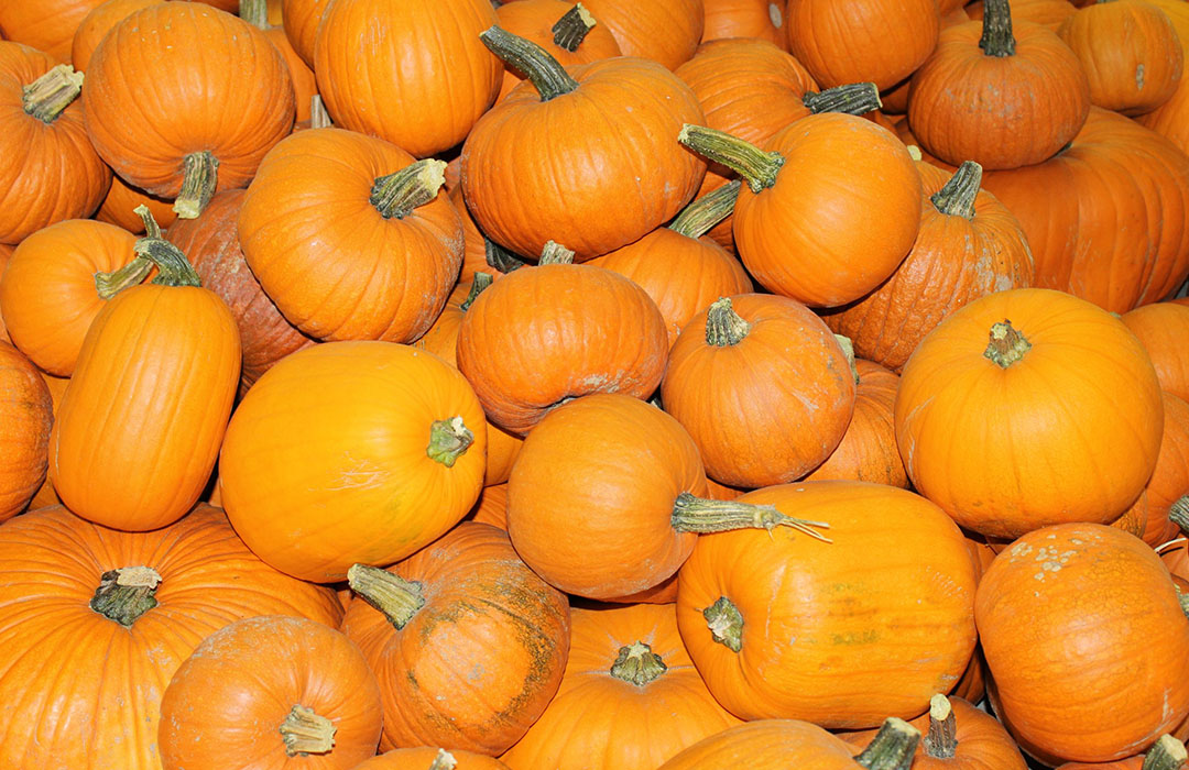 Pumpkins